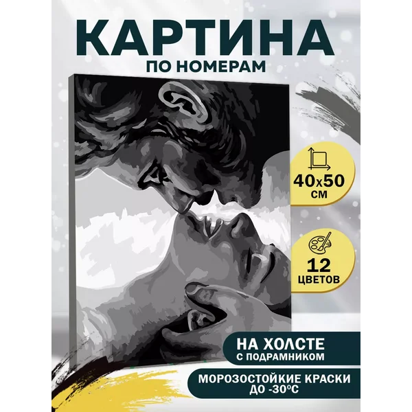 Картина по номерам на холсте с подрамником Поцелуй 40х50 см