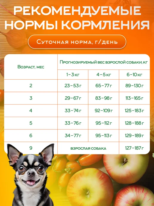 Сухой корм ZooRing Young Dog для собак, мелкие, утка, 0,7 кг, фото 5