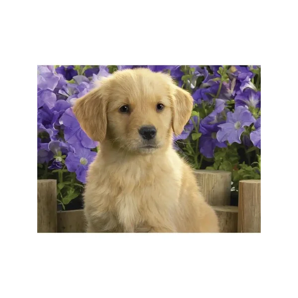 Алмазная мозаика на подрамнике Щенок в цветах