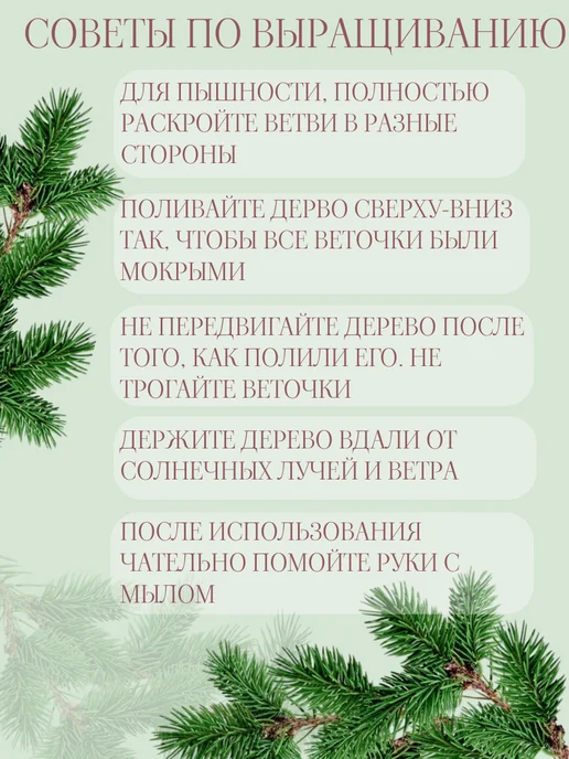 Выращивание кристаллов, набор для опытов дерево, Развивающий и экспериментов, фото 4
