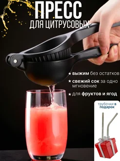 Соковыжималка ручная для цитрусовых фруктов и ягод 334310307 купить за 864 ₽ в интернет‑магазине Wildberries