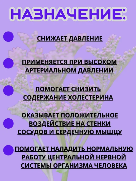 ООО "Фарм-продукт" Травяной сбор Гипертония фильтр-пакеты, вариант, фото 3