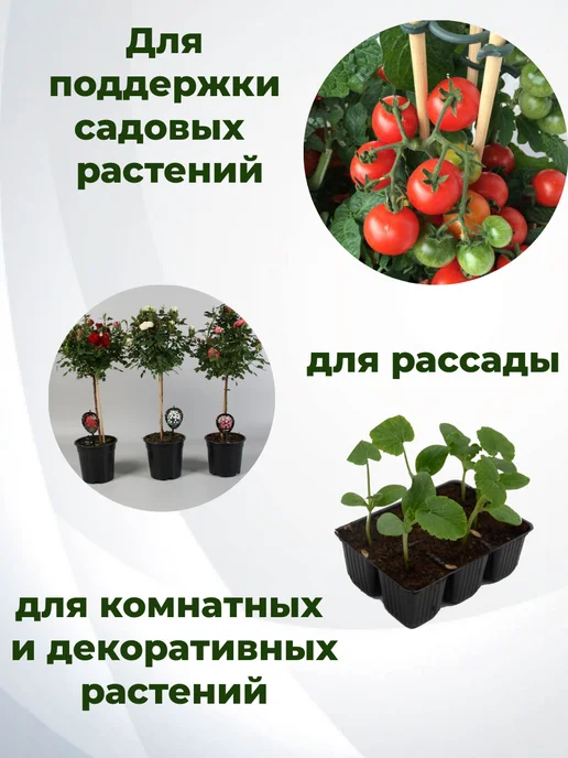 Опора для комнатных и садовых растений рассады бамбук, бежевый, фото 3