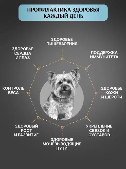 Сухой корм PREMIER Dog для собак, мелкие, индейка, лосось, 1,1 кг, фото 2