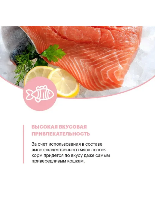 Сухой корм KARMY Кошек Delicious для собак, взрослые, лосось, 10 кг, фото 7