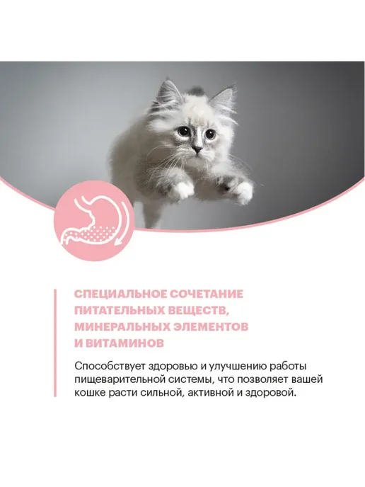 Сухой корм KARMY Кошек Delicious для собак, взрослые, лосось, 10 кг, фото 8