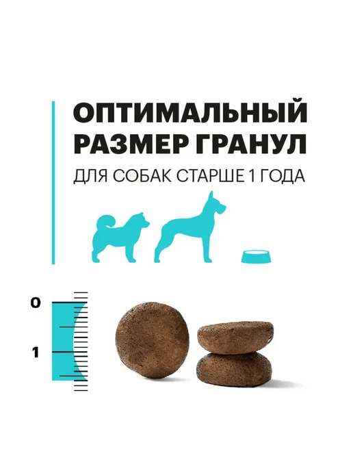 Сухой корм KARMY Hypoallergenic для собак, крупные, средние, ягненок, 2 кг, фото 6