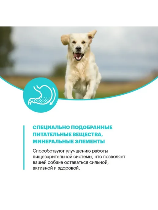 Сухой корм KARMY Hypoallergenic для собак, крупные, средние, ягненок, 2 кг, фото 8