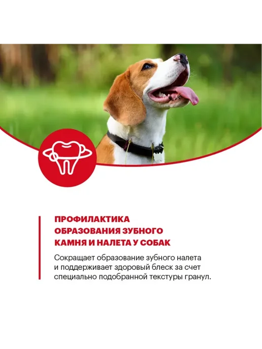 Сухой корм KARMY для собак, взрослые, средние, индейка, 14 кг, фото 7