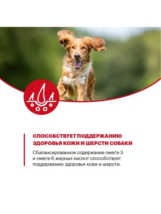 Сухой корм KARMY для собак, взрослые, средние, индейка, 14 кг, фото 8