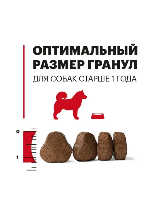 Сухой корм KARMY для собак, взрослые, средние, индейка, 2 кг, фото 6