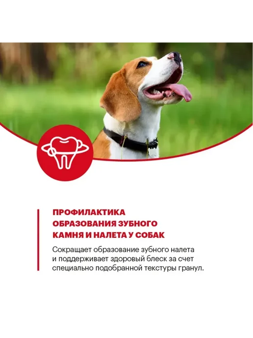 Сухой корм KARMY для собак, взрослые, средние, индейка, 2 кг, фото 8