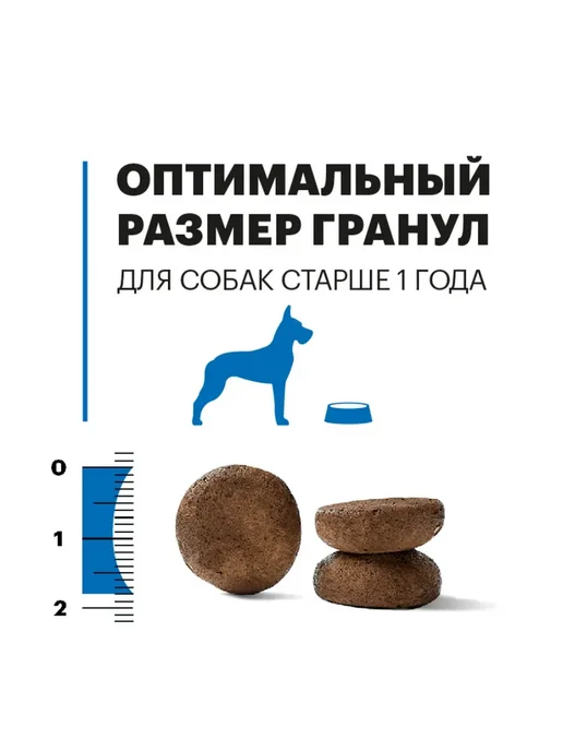 Сухой корм KARMY для собак, взрослые, крупные, индейка, 14 кг, фото 5