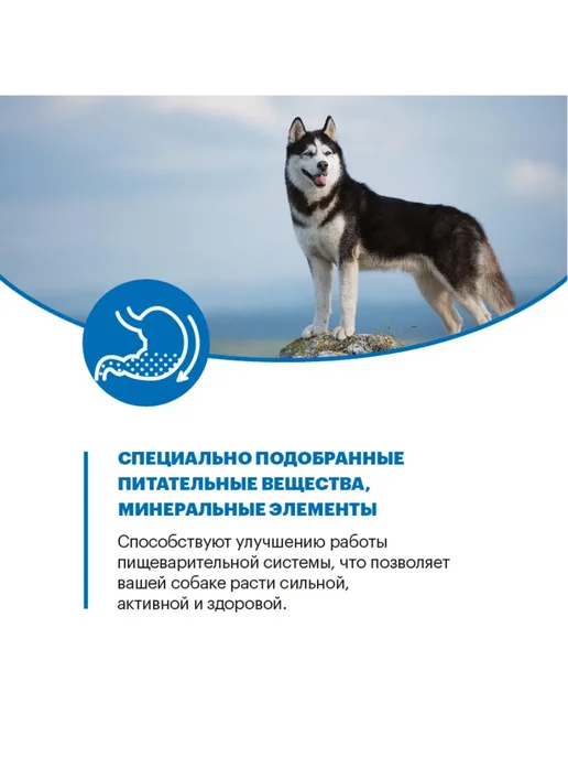Сухой корм KARMY для собак, взрослые, крупные, индейка, 14 кг, фото 8