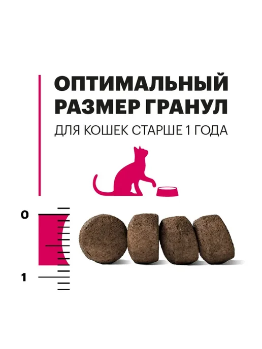 Сухой корм KARMY Кошек для собак, взрослые, телятина, 0,4 кг, фото 5