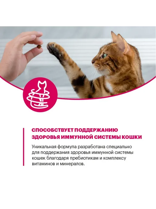 Сухой корм KARMY Кошек для собак, взрослые, телятина, 0,4 кг, фото 7