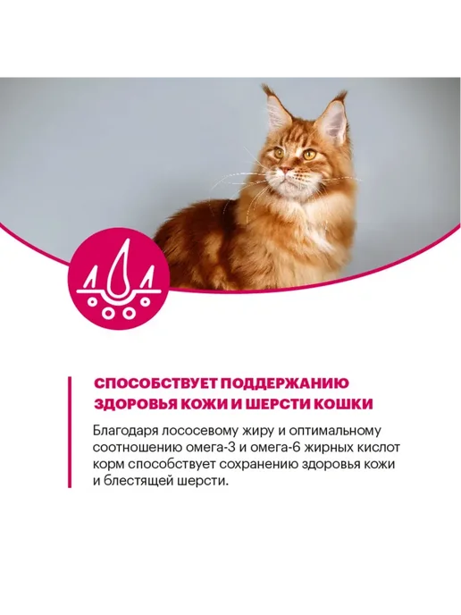 Сухой корм KARMY Кошек для собак, взрослые, телятина, 0,4 кг, фото 8