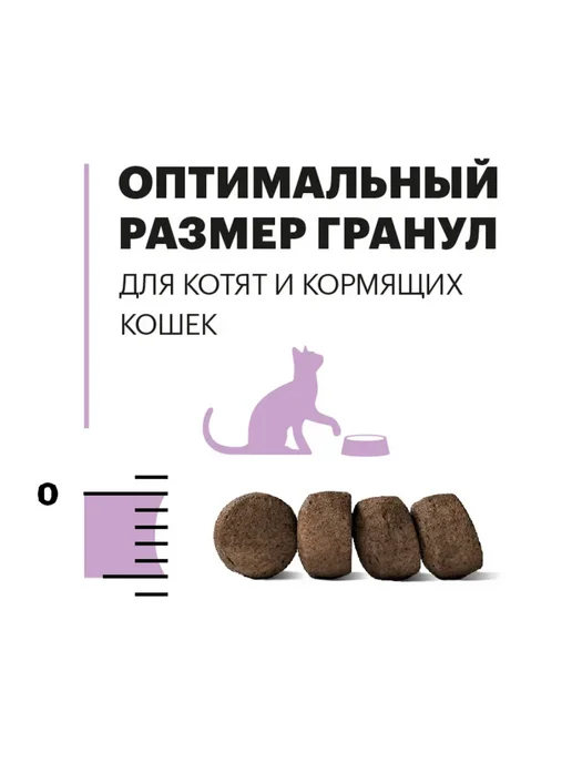 Сухой корм KARMY Кошек Kitten для собак, индейка, 0,4 кг, фото 6