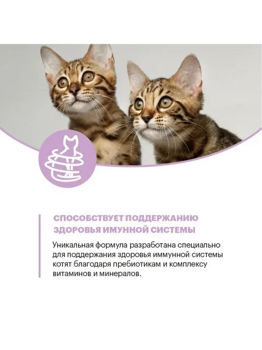 Сухой корм KARMY Кошек Kitten для собак, индейка, 0,4 кг, фото 8