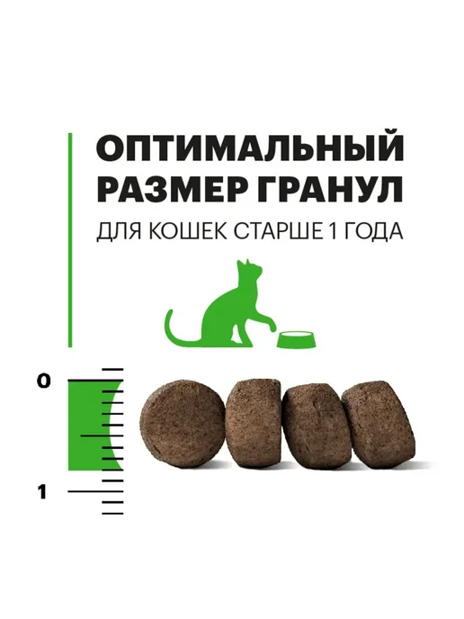Сухой корм KARMY Кошек Sterilised для собак, лосось, 0,4 кг, фото 5