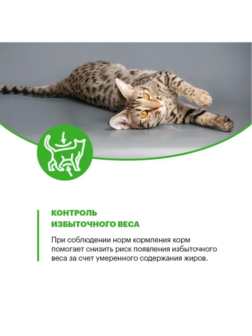 Сухой корм KARMY Кошек Sterilised для собак, индейка, 10 кг, фото 8