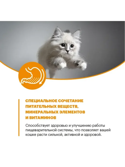 Сухой корм KARMY Кошек Hair для собак, лосось, 10 кг, фото 7