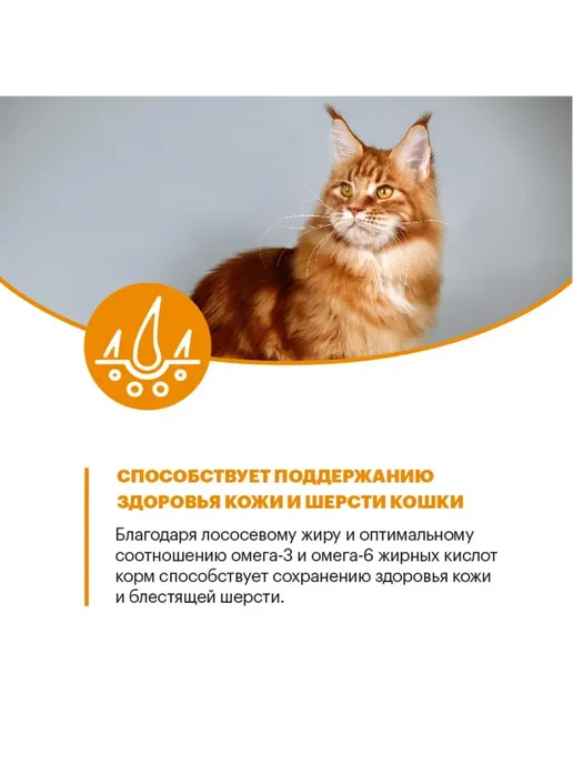 Сухой корм KARMY Кошек Hair для собак, лосось, 10 кг, фото 8