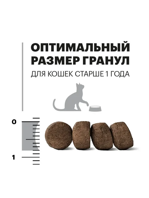 Сухой корм KARMY Кошек British для собак, индейка, 0,4 кг, фото 6