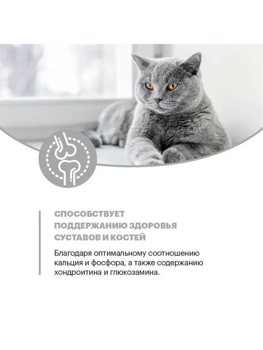 Сухой корм KARMY Кошек British для собак, индейка, 0,4 кг, фото 8