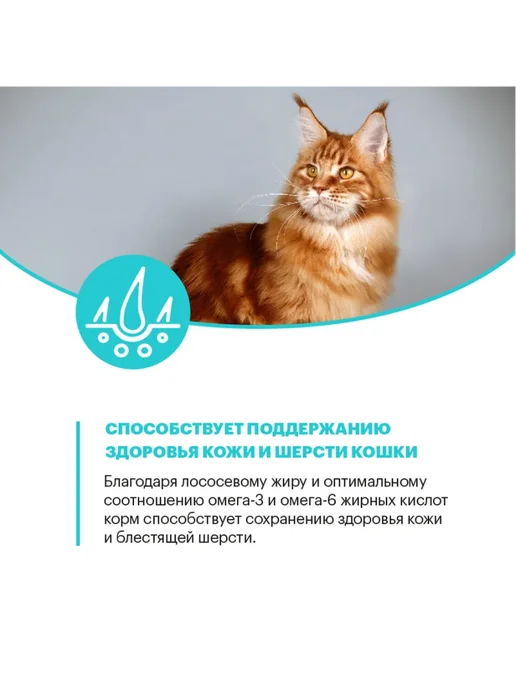 Сухой корм KARMY Кошек Hypoallergenic для собак, взрослые, утка, 10 кг, фото 7
