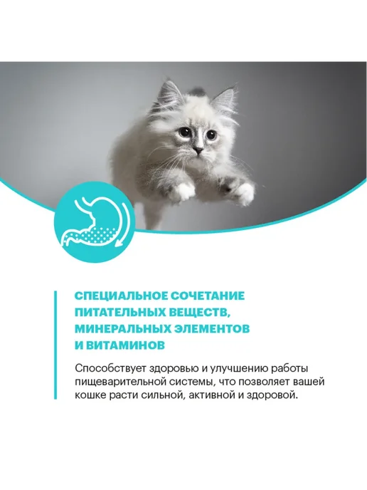 Сухой корм KARMY Кошек Hypoallergenic для собак, взрослые, утка, 10 кг, фото 8