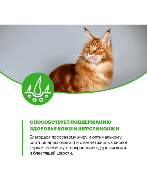 Сухой корм KARMY Кошек Sterilised для собак, курица, 1,5 кг, фото 7