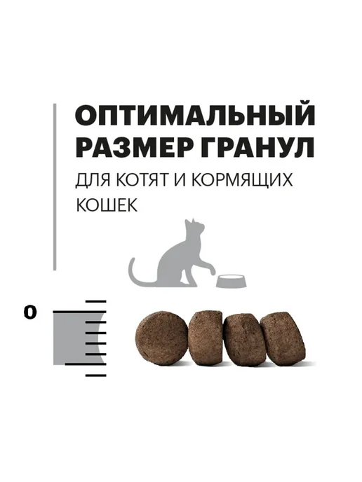 Сухой корм KARMY Кошек Мейн-Кун для собак, 0,4 кг, фото 5