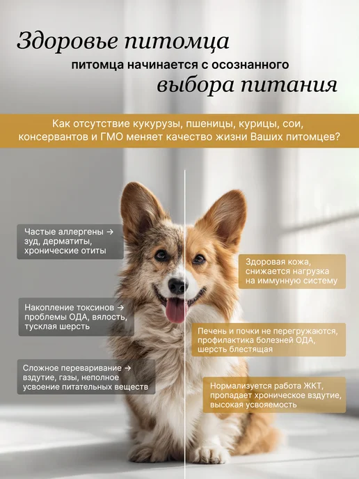 Сухой корм ALAMI для собак, мелкие, рыба, телятина, 1 кг, фото 2