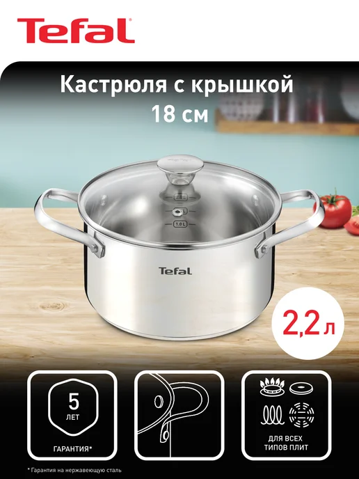Tefal Кастрюля Cook Eat B9214374, серый