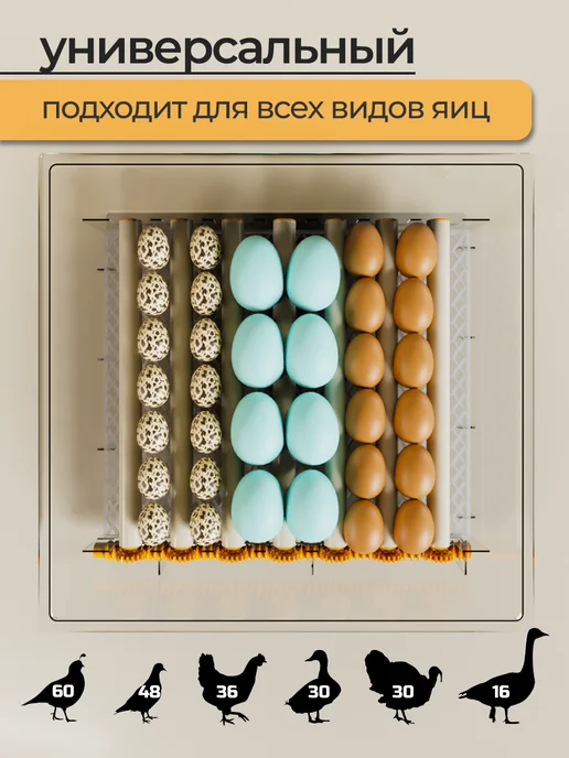 Etty's Инкубатор для яиц автоматический с терморегулятором, белый, фото 4