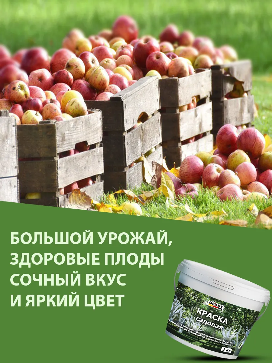 Садовая краска фото 6