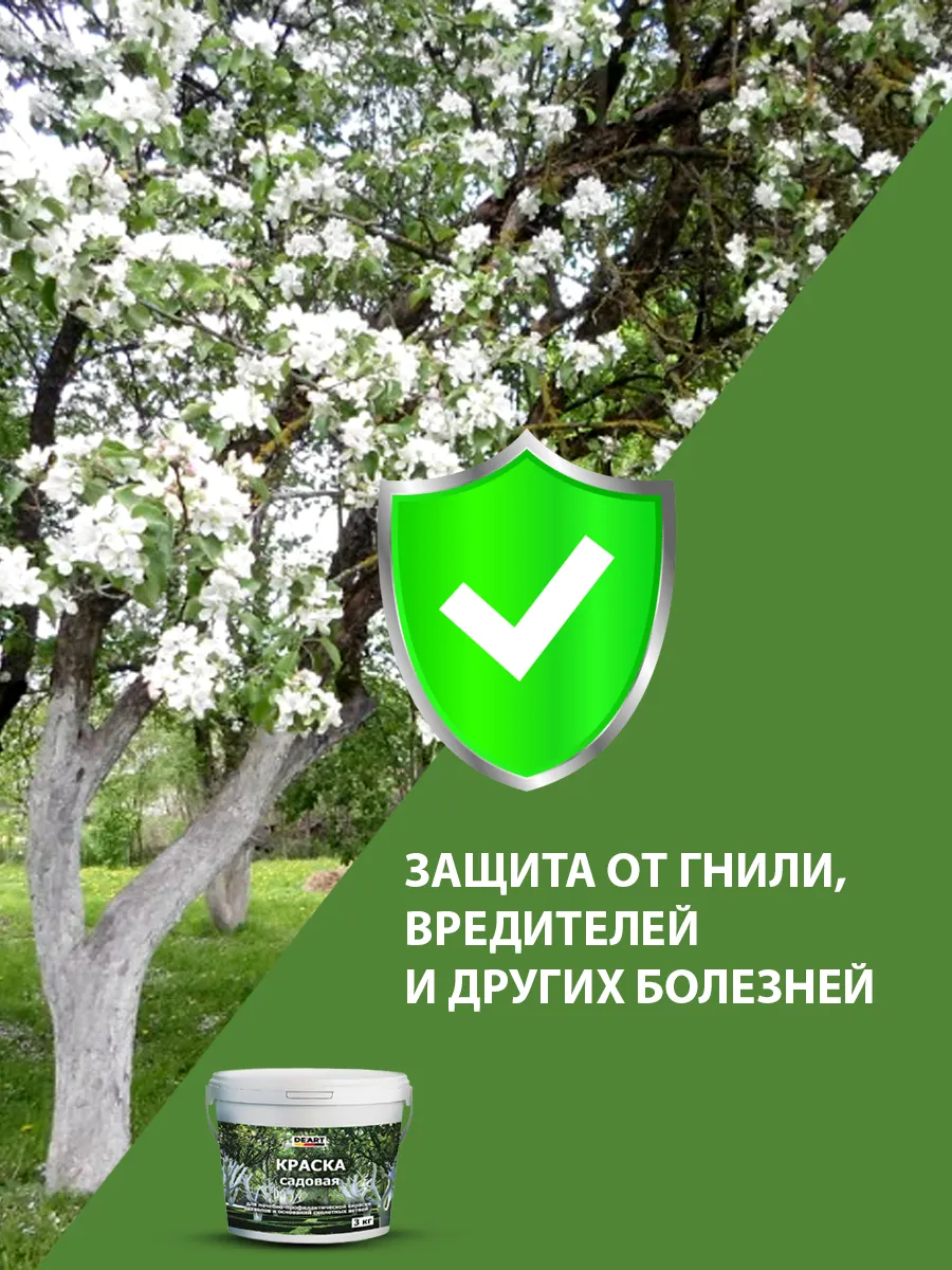 Садовая краска фото 7