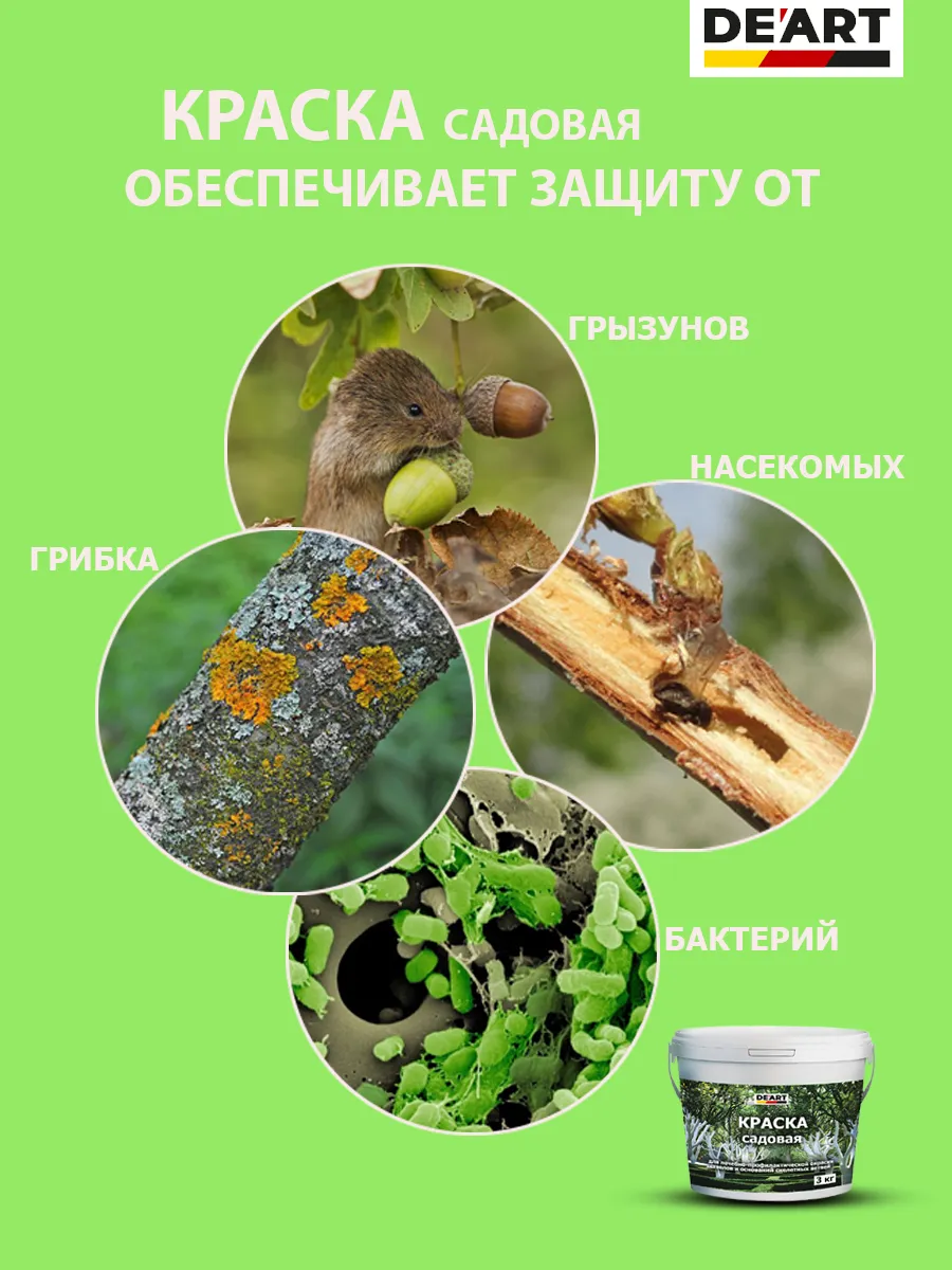 Садовая краска фото 8