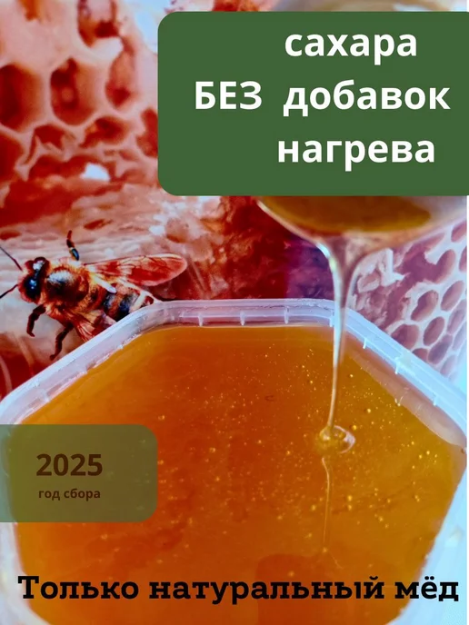 Пасека Крамер Э.А. Мед натуральный цветочный 1 кг сбор 2026 без сахара, 1 кг, фото 4