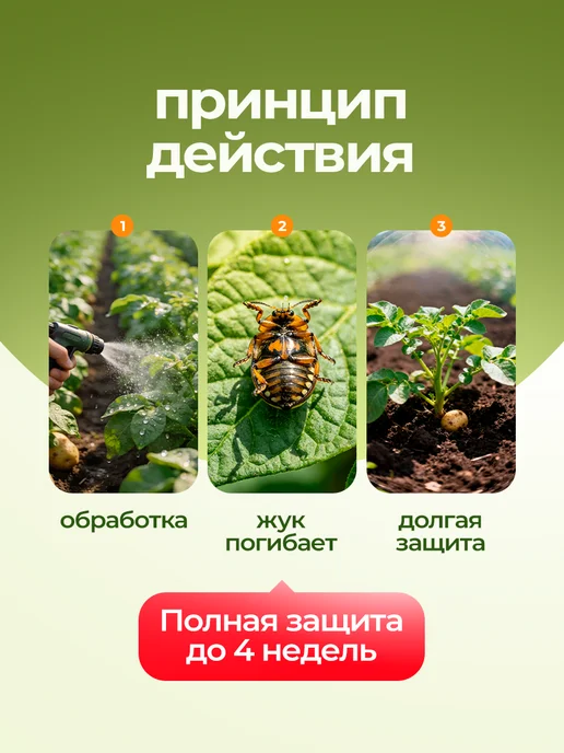 Rembek Средство от колорадского жука и личинок, 5 уп, 60 мл, фото 3