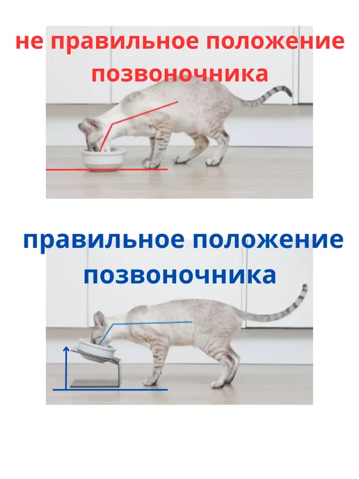 ЗООрум Барбос миска анатомическая высокая с наклоном, зеленый, фото 5