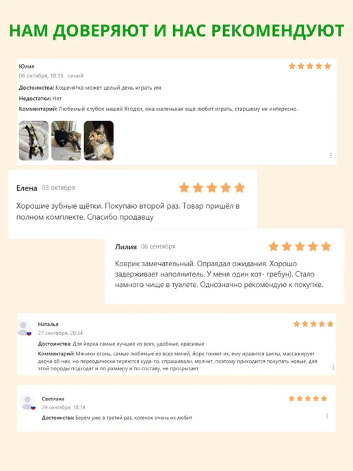 ЗООрум Барбос миска анатомическая высокая с наклоном, зеленый, фото 8