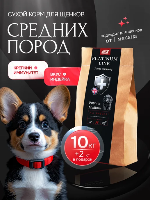 Сухой корм BUDDY DINNER Подарок для собак, средние, щенки, 2 кг