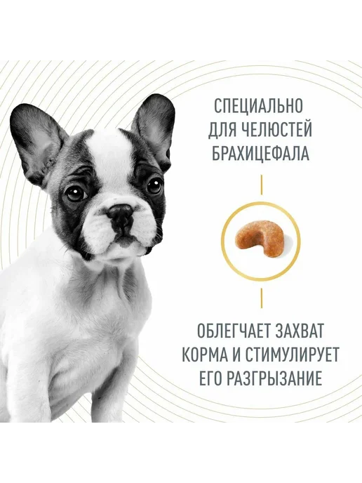 Сухой корм Royal canin Бульдог French для собак, щенки, 3 кг, фото 4
