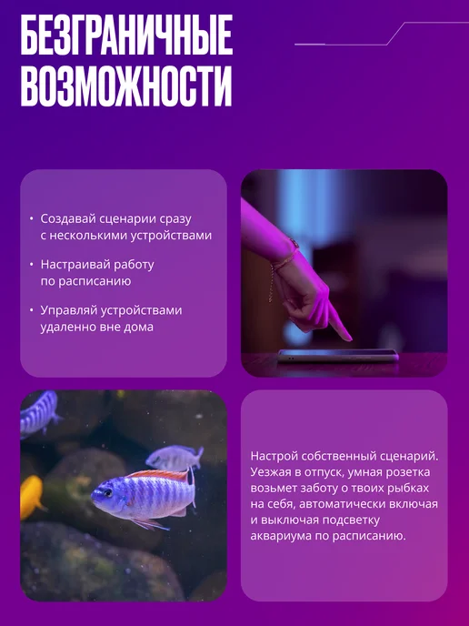 Izba Tech Модуль умной розетки на 16А, черный, фото 3