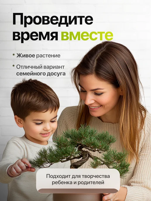 Про Растения Набор для выращивания растений Плюмерия Франжипани, вариант, фото 7