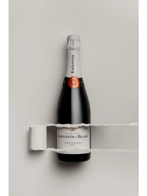Raventos I Blanc Blanc De Blancs Brut Conca Del Riu Anoia, 750 мл, фото 2