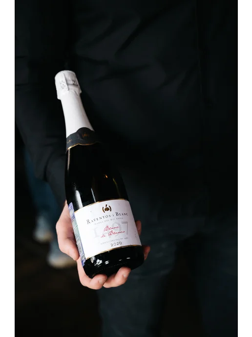 Raventos I Blanc Blanc De Blancs Brut Conca Del Riu Anoia, 750 мл, фото 3
