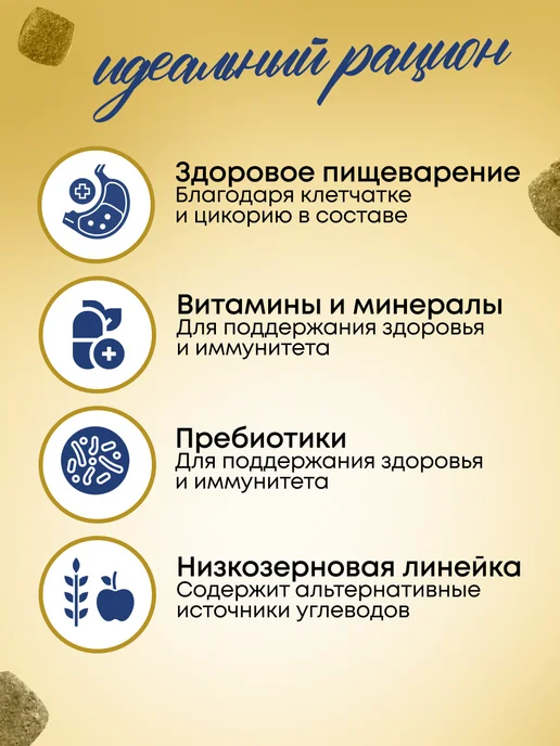 Сухой корм Prime для собак, взрослые, курица, 0,5 кг, фото 3